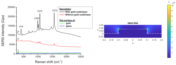 Biophotonique_nano_sers