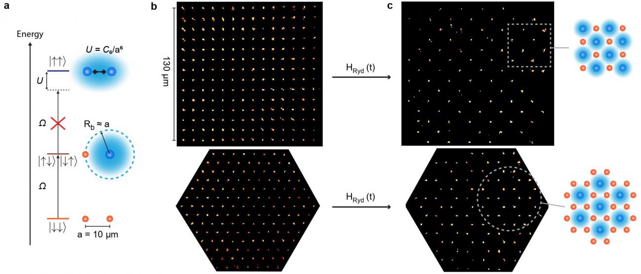 Simulation quantique de modèles de spins