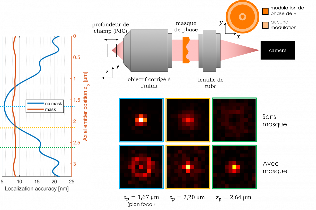 (en haut à droite) Microscope avec masque de phase. (en bas à droite) PSF à différentes profondeurs, sans masque et avec masque optimal. (à gauche) Précision de localisation sans masque (en bleu) et avec masque de phase optimal (en rouge) en fonction de la défocalisation.