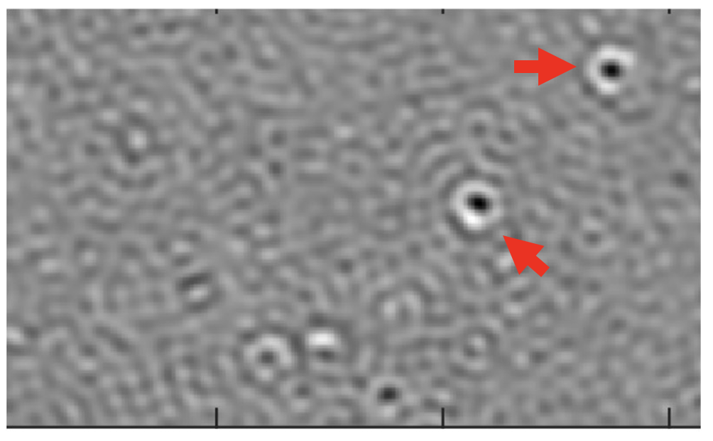 Image de microscopie exaltée par cavité résonante mettant en évidence la présence de protéines d’Apoferritine