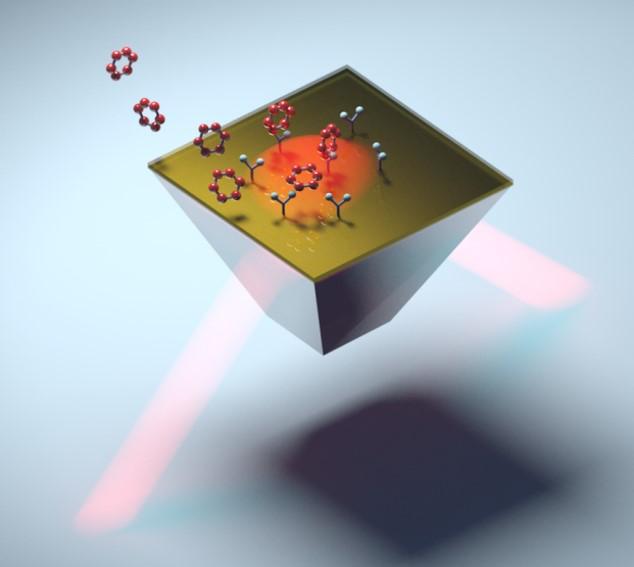 Biocapteur plasmonique