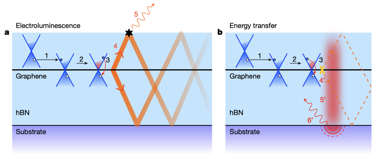 Electroluminescence and radiative energy transfer from graphene in an hBN encapsulate