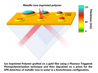schéma de polymères à empreinte ionique (IIP)