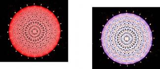 Préparation et caractérisation d'états de spin corrélés avec un simulateur quantique à atomes de Rydberg