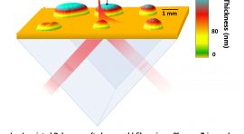 schéma de polymères à empreinte ionique (IIP)